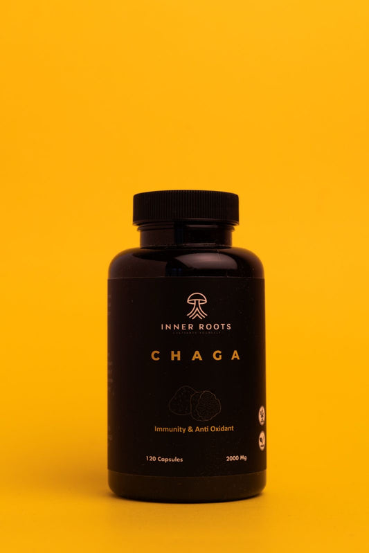 Chaga mushroom capsules